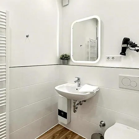 Apartment Loft Im Denkmal Zentral In